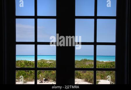 Pacific Island Beach, Aquamarine Lagune und blauer Himmel durch ein Fenster. Midway-Atoll, Papahanaumokuakea Marine National Monument, Hawaiian Islands Stockfoto