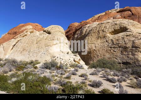 Berühmte Mehrschichtige Calico Rocks Formation. Malerische Wüstenlandschaft im Red Rock Canyon National Conservation Area, Nevada, USA Stockfoto