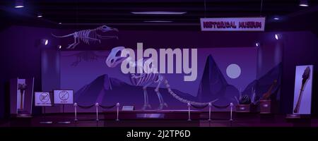 Historisches Museum mit Dinosaurierskelett und archäologischen Ausstellungen bei Nacht. Vector Cartoon Innenraum von leeren dunklen Raum der Ausstellung mit prähistori Stock Vektor