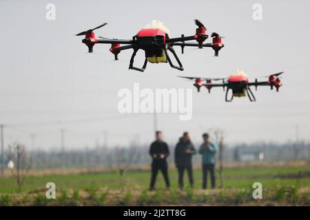 Peking, Chinas Provinz Zhejiang. 25.. Februar 2022. Ein Landtechniker betreibt eine Drohne zur Düngung von Setzlingen im Dorf Hemu im Landkreis Deqing in Huzhou, ostchinesische Provinz Zhejiang, 25. Februar 2022. Quelle: Wang Zheng/Xinhua/Alamy Live News Stockfoto