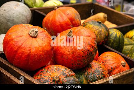 Leuchtend orange Kürbisse zum Verkauf in einem Supermarkt. Stockfoto