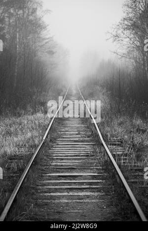 Leere Bahnperspektive in einem nebligen Morgen, vertikales Schwarz-Weiß-Foto Stockfoto