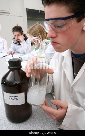 Niederlande, ein Student während eines Chemieunterrichts bläst in Kalkwasser, um das Kohlendioxid in der Luft zu zeigen, die er atmet. Stockfoto