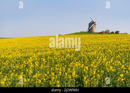 Windmühle in der Nähe des mont saint michel in der Normandie Stockfoto