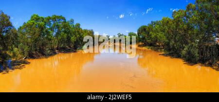 Schlammig-gelbes Wasser des Darling River im Outback von Australien in der Nähe von Wilcannia - breites Landschaftspanorama. Stockfoto