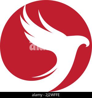 Falcon Eagle Bird Logo Vorlage Vektor Stock Vektor