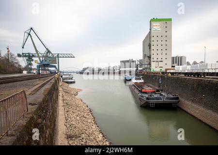 RWZ-Getreidesilo am Rheinhafen Niehl, Lagerplatz, Köln, Deutschland. RWZ Getreidesilo im Hafen Niehl, Lagerhauskai, Köln, Deutschland. Stockfoto