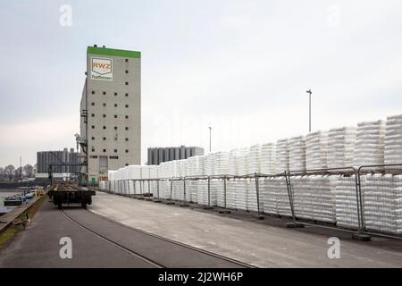 RWZ-Getreidesilo am Rheinhafen Niehl, Lagerplatz, Köln, Deutschland. RWZ Getreidesilo im Hafen Niehl, Lagerhauskai, Köln, Deutschland. Stockfoto