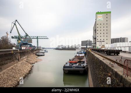 RWZ-Getreidesilo am Rheinhafen Niehl, Lagerplatz, Köln, Deutschland. RWZ Getreidesilo im Hafen Niehl, Lagerhauskai, Köln, Deutschland. Stockfoto