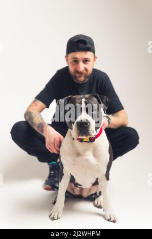 Vertikales Studio auf grauem Hintergrund mit einem großen Stammbaum-Hund im Vordergrund und seinem kaukasischen tätowierten bärtigen Besitzer im Hintergrund, der sitzt und die Kamera anschaut. Hochwertige Fotos Stockfoto