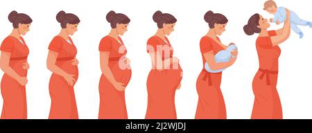 Stadium der Schwangerschaft. Stadium Trimester Schwangere Frau, Infografik Wachstum Fgeborene in Bauch Mutter vor der Geburt, Zeitachse Mutterschaft Körper, Baby Stillen Milch Vektor Illustration. Schwangerschaft Trimester Mutterschaft Stock Vektor