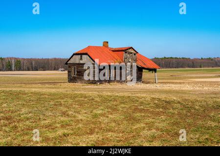 Bachorza, Polen. Verlassene und Negelcted Bauernhaus in der Mitte eines agrokulturellen Feld, hinterlassen von Einwanderern nach Westeuropa. Stockfoto