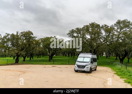 Ein grauer Wohnmobil parkte auf einem Schotterplatz inmitten eines Korkeichenwaldes in Portugal Stockfoto