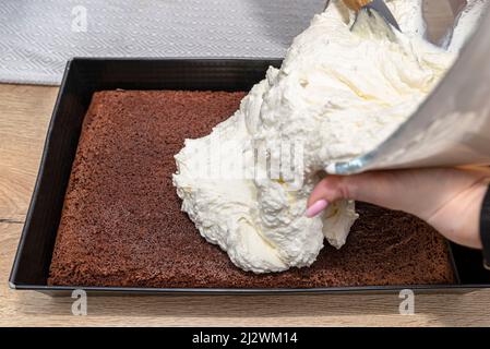 Eine Frau gießt den gemischten Quark und die Schlagsahne in einen gebackenen Kakaokuchen auf einem Backblech Stockfoto