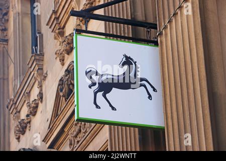 Schwarzes Pferd Zeichen über Zweig der Lloyds Bank Stockfoto