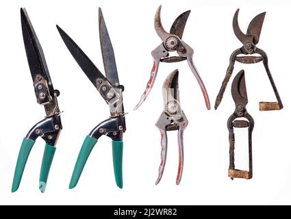 Ein kleiner Schraubstock, der in einer Modellierwerkstatt verwendet wird. Isolierter Hintergrund. Stockfoto