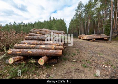 Ein kleiner Schraubstock, der in einer Modellierwerkstatt verwendet wird. Isolierter Hintergrund.q Stockfoto