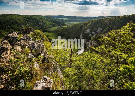 Blick von Stiegelesfelsen, bei Fridingen, Naturpark Obere Donau, Oberes Donautal, Donau, Schwäbische Alb, Baden-Württemberg, Deutschland Stockfoto