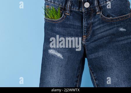 Verantwortungsvolle Konsumkleidung. Jeans-Tasche dekorative Pflanzensprossen. Auf blauem Hintergrund. Hochwertige Fotos Stockfoto