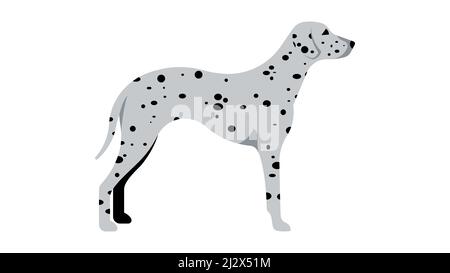 Dalmatiner. Hund in voller Höhe, Silhouette. Vektor isolierte Illustration eines Vollblut-Hundes. Stock Vektor