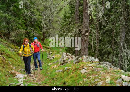 Mann und Frau wandern auf einer Schlucht durch Wald, Nockberge, Nockberge-Trail, UNESCO Biosphärenpark Nockberge, Gurktaler Alpen, Kärnten, Österreich Stockfoto