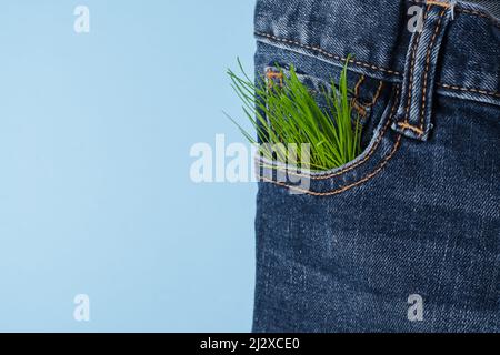 Verantwortungsvolle Konsumkleidung. Nahaufnahme Jeans Tasche dekorative Pflanzen Sprossen. Auf blauem Hintergrund. Hochwertige Fotos Stockfoto