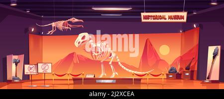 Dinosaurier Skelett im Museum der Geschichte. Dino tyrannosaurus rex und Pterodactyl Fossilien und alte Artefakte in paläontologischen Ausstellung. Paleontolo Stock Vektor