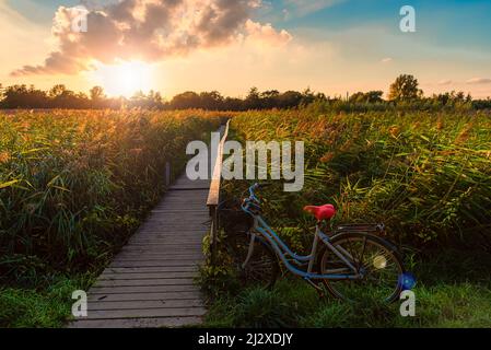 Schöne Landschaft auf einer grünen Strandengenwiese. Das Fahrrad steht in der Nähe einer Holzbrücke, die über den See führt, überwuchert mit verschiedenen Vegetatio Stockfoto