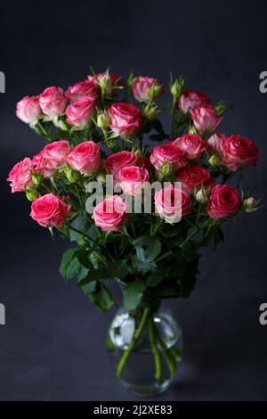 Schönes Bouquet von rosa (roten) Rosensträuchern auf schwarzem Hintergrund. Selektiver Fokus, Nahaufnahme. Stockfoto
