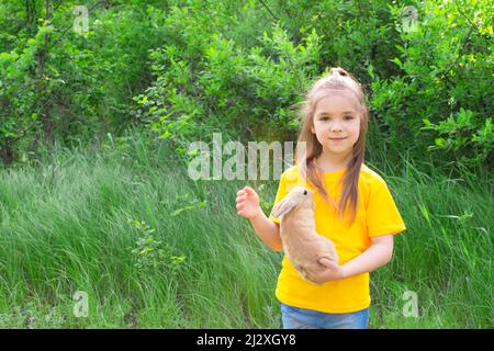 Kleines nettes Mädchen spielt mit einem echten Ingwer-Kaninchen auf einem Hintergrund von grünen Pflanzen. Platz für eine Inschrift. Im Sommer Aktivitäten im Freien für Kinder Stockfoto