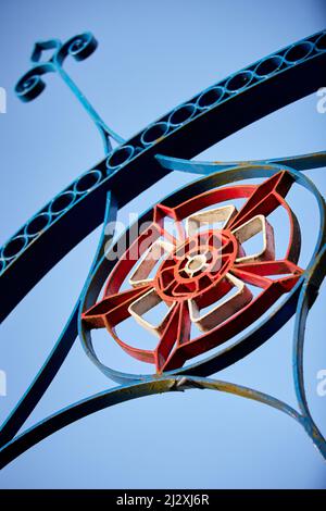 Cottam, Preston, Lancashire. Gehwege um das Dorf umrahmt mit einer Lancashire Rose Stockfoto