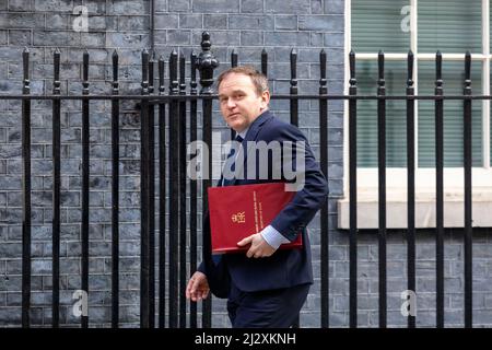 Der Abgeordnete George Eustice, Staatssekretär für Umwelt, Ernährung und Angelegenheiten des ländlichen Raums, wird vor den wöchentlichen Kabinettssitzungen in der Downing Street 10 gesehen. Stockfoto