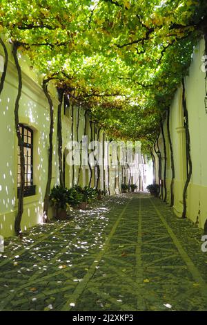 Innenhof einer Sherry-Bodega in Jerez de la Frontera, Andalusien, Spanien Stockfoto