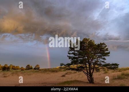 Beliebter Strand in Yyteri, Pori, Finnland Stockfoto