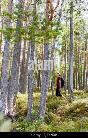 Frau beim Wandern im Patvinsuo-Nationalpark, Finnland Stockfoto