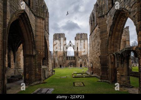 Elgin Cathedral, Querschiff- und enthauptete Türme, Elgin Cathedral, Kirchenruine, Elgin, Moray, Schottland, Großbritannien Stockfoto