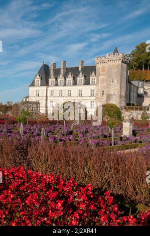 Schloss Villandry und Gärten, Villandry, regionaler Naturpark Loire-Anjou-Touraine, Loire-Tal, das zum UNESCO-Weltkulturerbe gehört, Indre et Loire Stockfoto