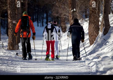 Serre-Chevalier (Französische Alpen, Südostfrankreich): Gruppe von Touristen und Führer während einer Wanderung mit Schneeschuhen, in mittleren Bergen rund um den Vil Stockfoto