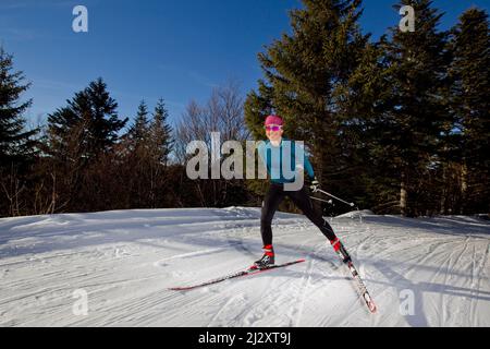 Frankreich, Departement Isere, Lans-en-Vercors (Südostfrankreich): Skilangläufer, Frau, allein, umgeben von der verschneiten Landschaft des Vercors Stockfoto