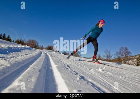 Frankreich, Departement Isere, Lans-en-Vercors (Südostfrankreich): Skilangläufer, Frau, allein, umgeben von der verschneiten Landschaft des Vercors Stockfoto