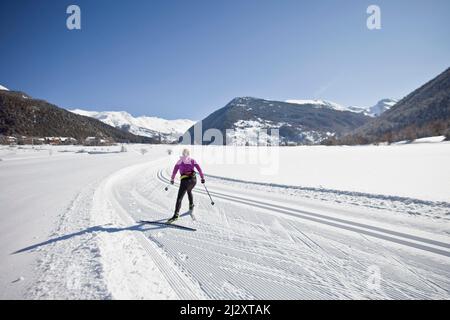 Frau Langlaufen in Ceillac, im Regionalpark Queyras (Südostfrankreich) Stockfoto