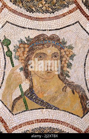 Tunesien, tunesische Zentralküste, El Jem, El Jem Museum, römisches Mosaik, 2. und 3. Jahrhundert Stockfoto