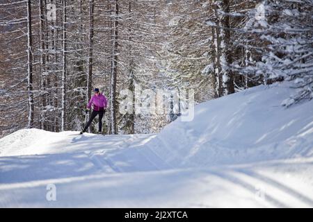 Frau Langlaufen in Ceillac, im Regionalpark Queyras (Südostfrankreich) Stockfoto
