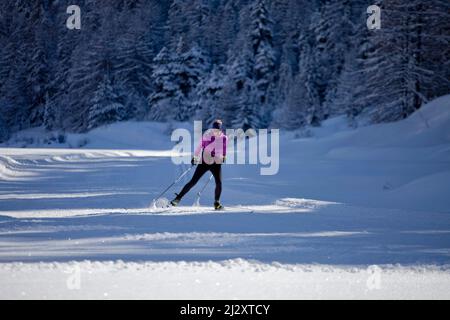 Frau Langlaufen in Ceillac, im Regionalpark Queyras (Südostfrankreich) Stockfoto