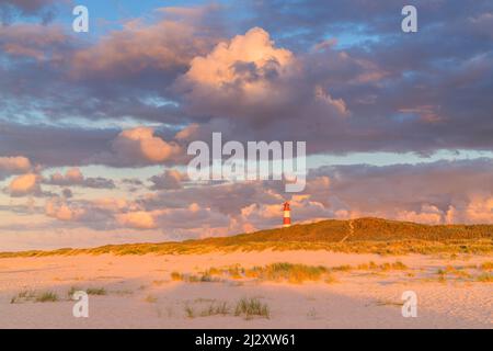 Liste Ost Leuchtturm in Ellenbogen, Sylt Insel, Schleswig-Holstein, Deutschland Stockfoto