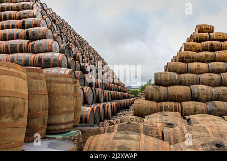 Barrel Mountains, Pyramiden von gebrauchten Whiskey-Fässern vor der Verarbeitung, Speyside Cooperage, Craigellachie, Schottland Großbritannien Stockfoto