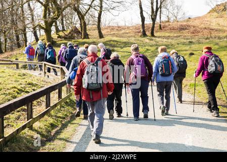 Lake District, Großbritannien - 21. März 2022. Eine Gruppe älterer Wanderer, die einen energischen Spaziergang im Lake District National Park Unternehmen Stockfoto