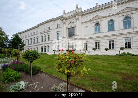 Leopoldina, Nationale Akademie der Wissenschaften, Halle, Sachsen-Anhalt, Deutschland Stockfoto