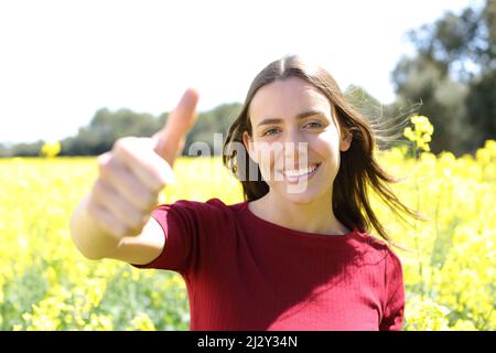 Vorderansicht Porträt einer glücklichen Frau, die im Sommer den Daumen in einem gelben Feld hochsticht Stockfoto