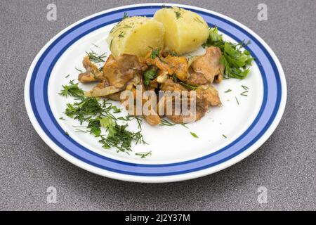 Geschmorte Pfifferlinge in weißer Sauce mit gekochten Kartoffeln mit frischen Kräutern: Petersilie und Dill. Stockfoto